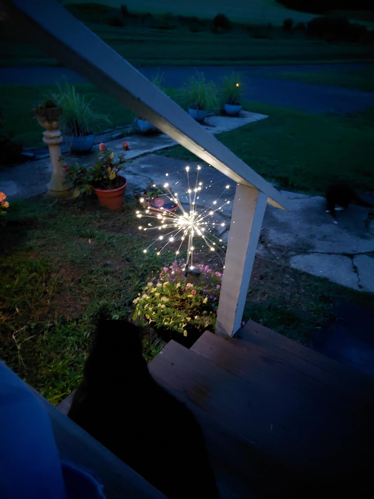 Glowing Solar Firework Garden Lights