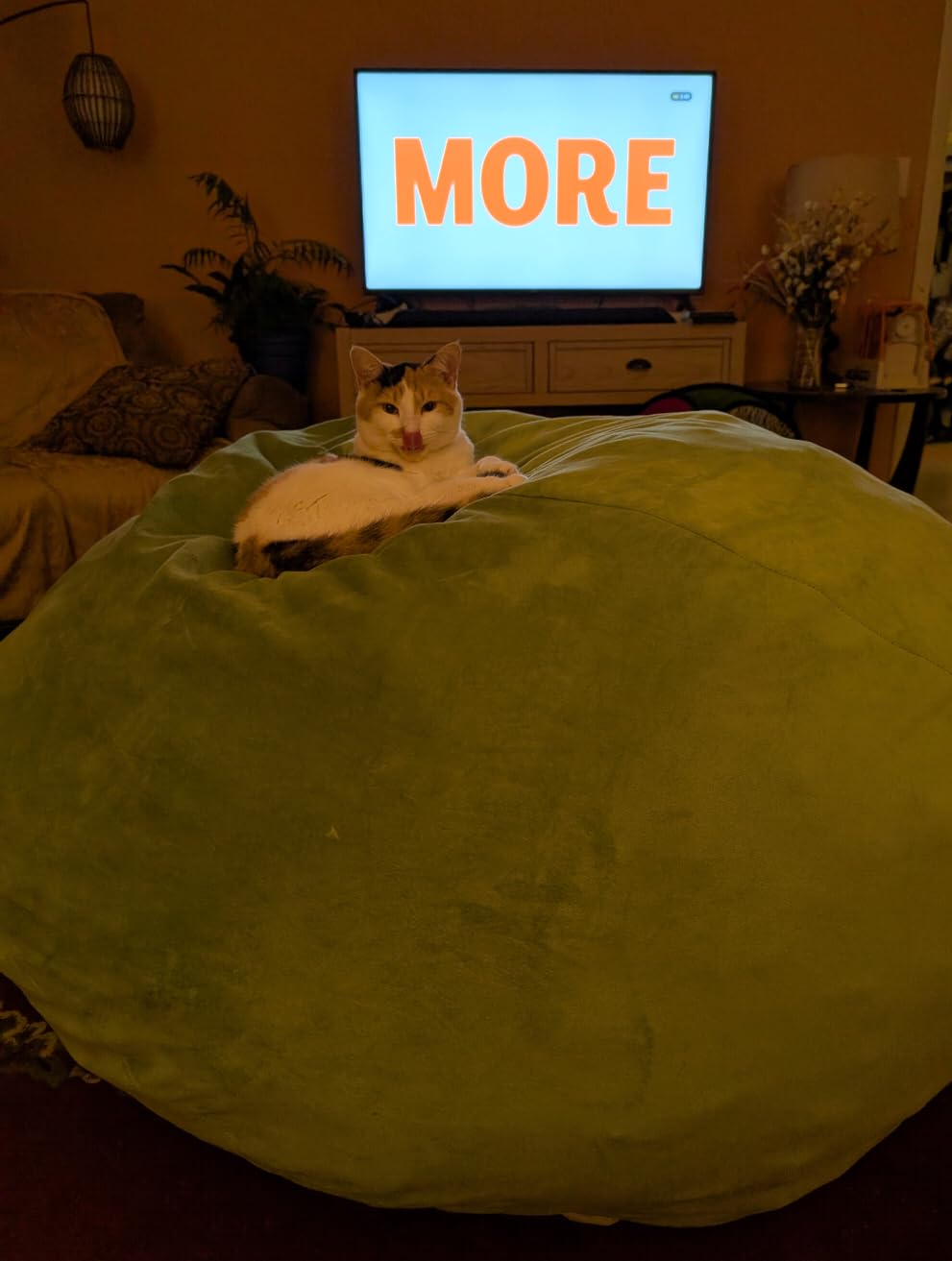 EDUJIN Five Foot Memory Foam Chair