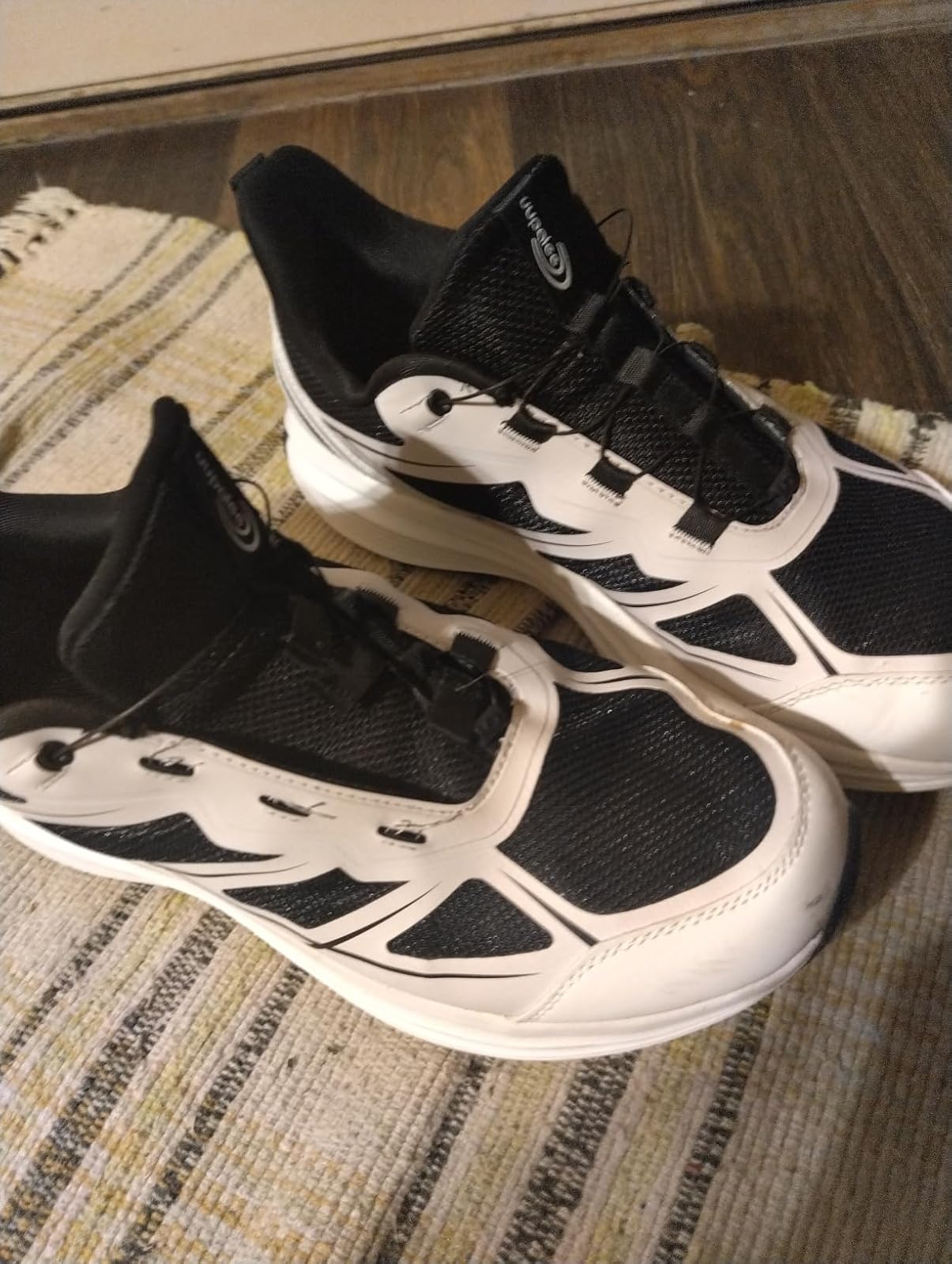 The Shoes That Put Themselves On Your Feet photo 2