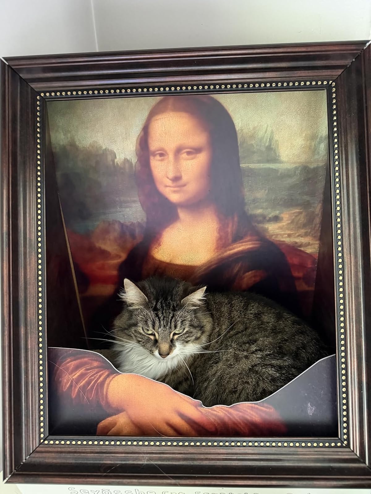 The Mona Lisa Cardboard Cat Scratcher photo 2