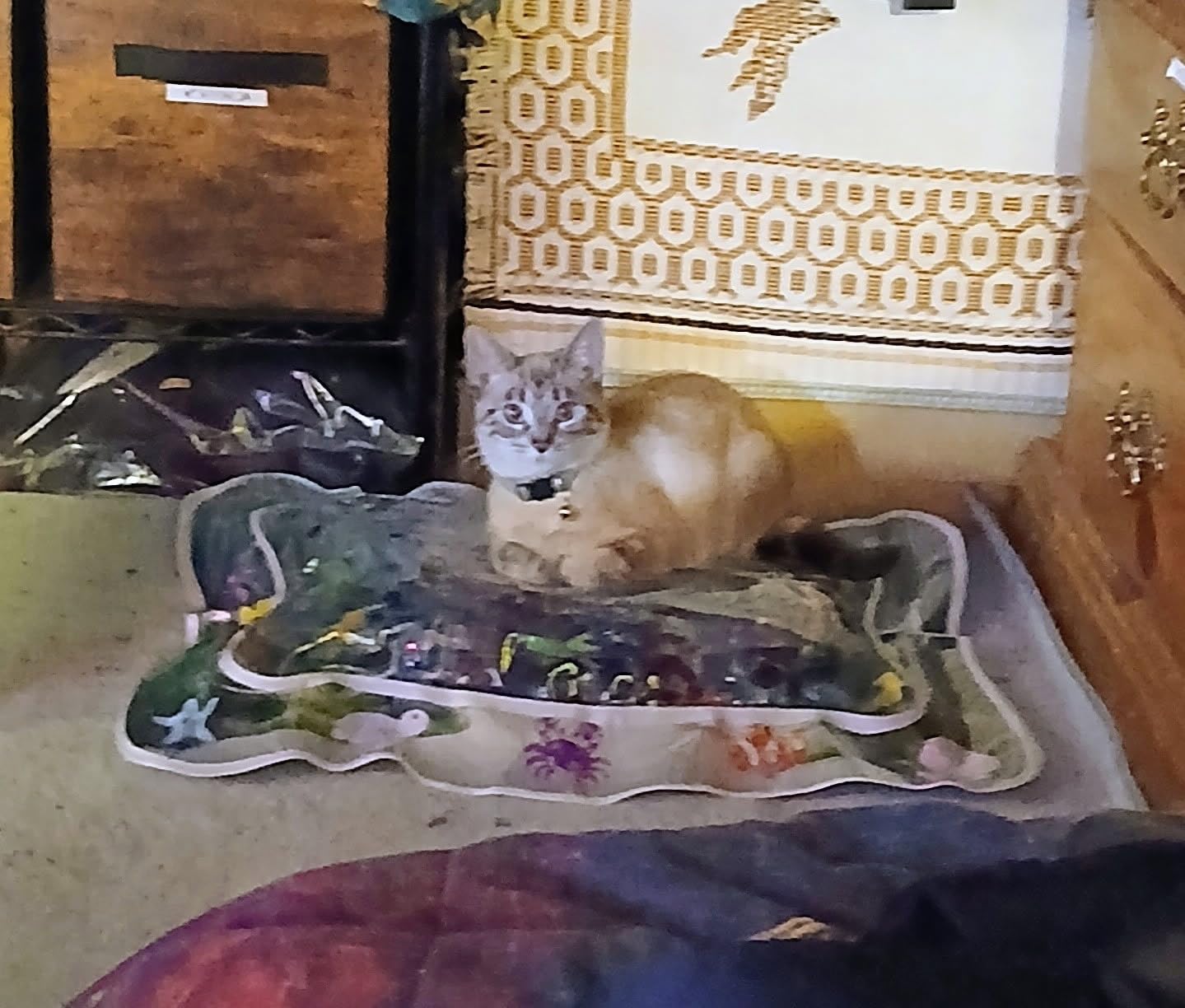 Interactive Water Sensory Mat for Cats