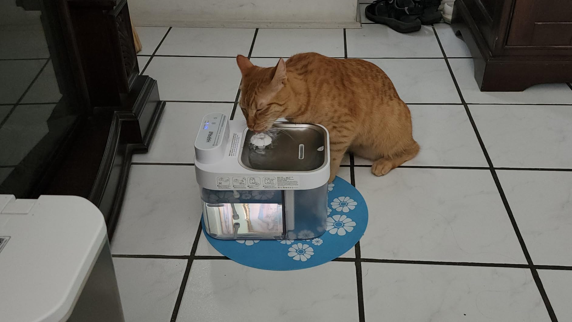 Wastewater Separating Cat Water Fountain